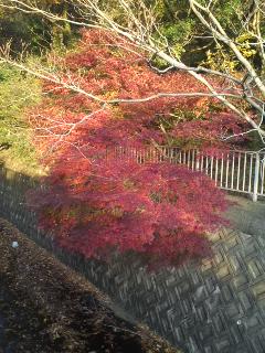 101205_1600~01.jpg