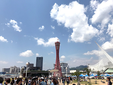 18051401