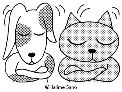 20060406